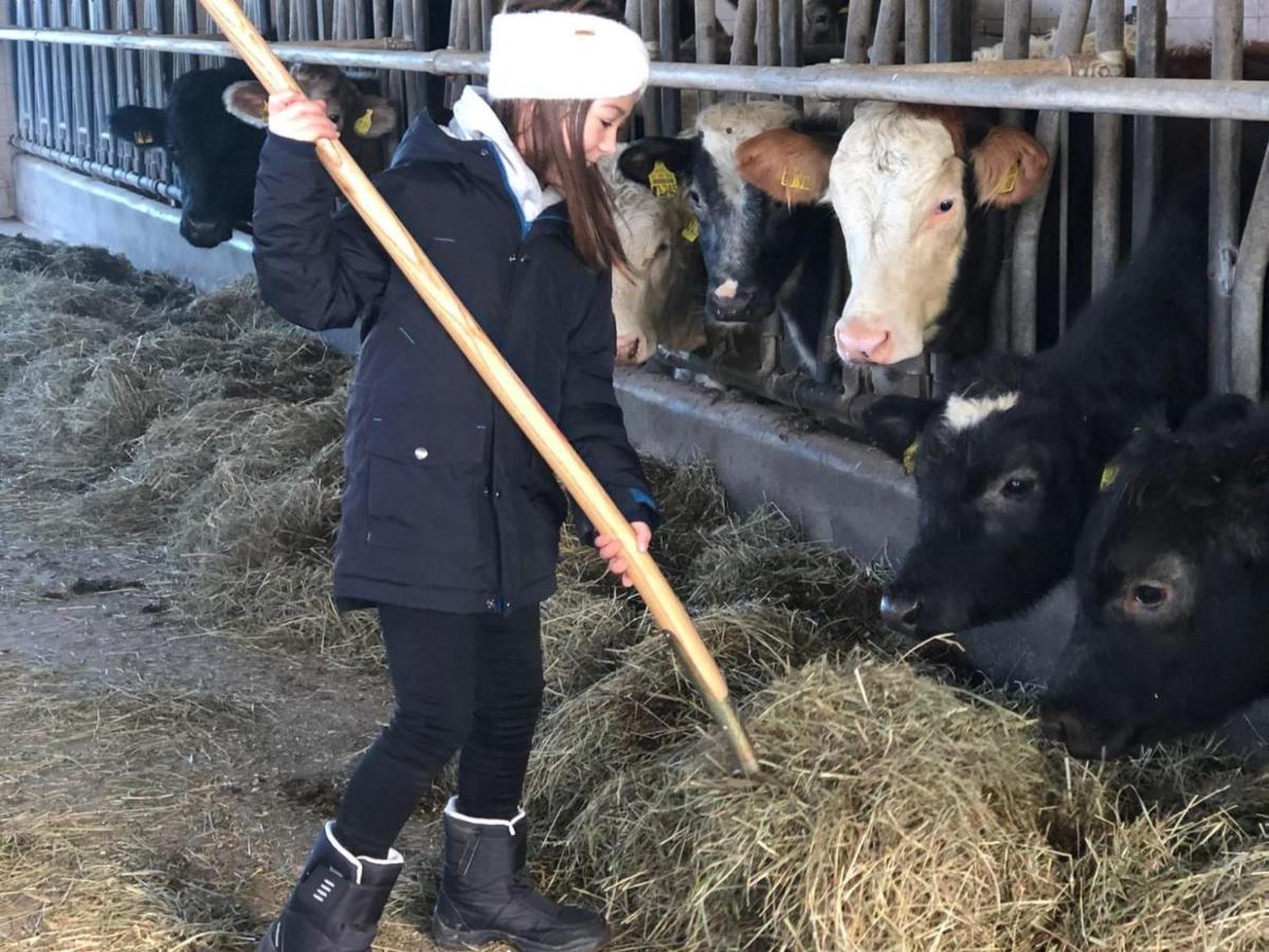 Ferienhof Koenig Neukirch  Bagian luar foto